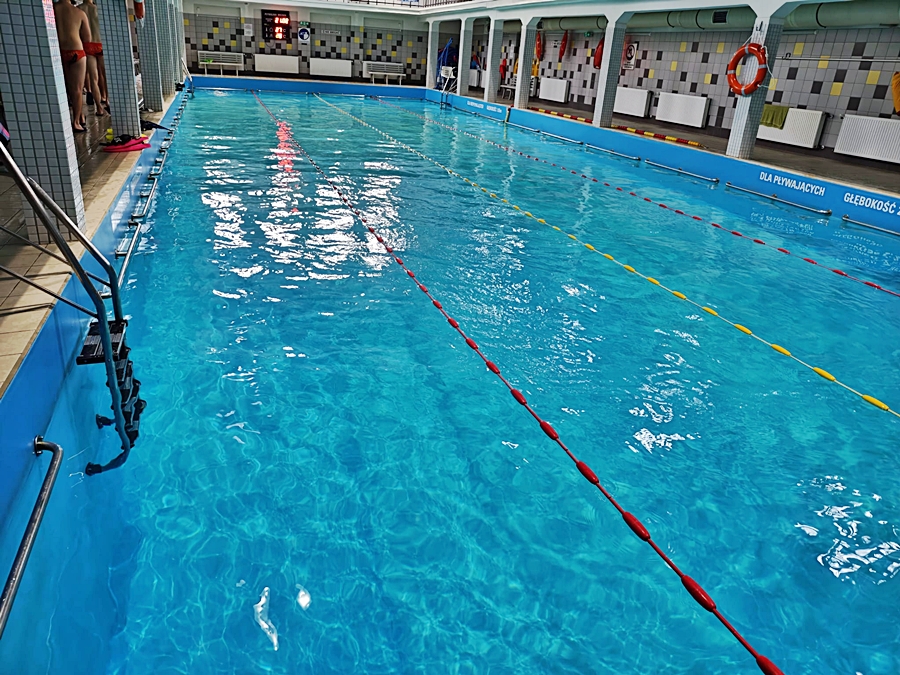 Hokej pod wodą Walenie 2026